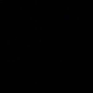 Meet your Posher, Lulu